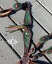 "Green Envy" Crystal Breastcollar Only