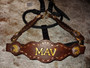 Quick Order Gold Buckstitch Name Halter * Quick Order Gold Buckstitch Name Halter *