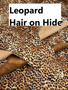 Larger Photos of Cheetah/Leopard color hides  (THESE ARE NOT THE ONLY OPTIONS, IF YOU WANT SOMETHING ELSE, MESSAGE ME ON FACEBOOK OR EMAIL