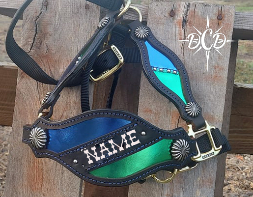 Custom Buckle Halter