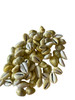 Consultation Cowrie Shells