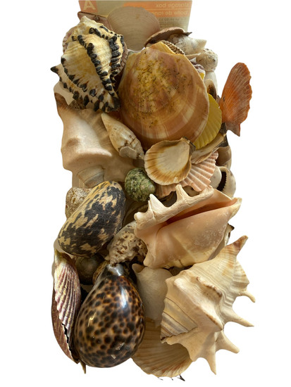 Variety Shells
