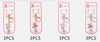 HOPE Pink Ribbon Breast Cancer Awareness Keychain .70 each