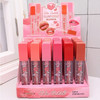 Plumping Lip Gloss 24 pcs per display box .75 each