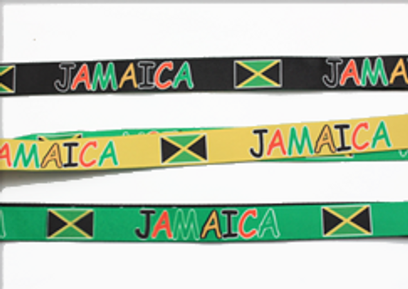 38" Jamaica Lanyards w/ Key Holder & Clip 12 per pk  .60 each