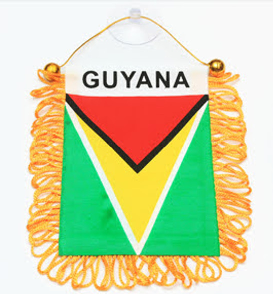  4" X 6" Mini Banner Flag Guyana .58 each