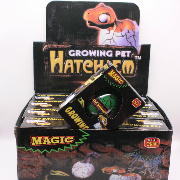 Hatch"em Dinosaur Eggs 12 per counter display box .75 ea