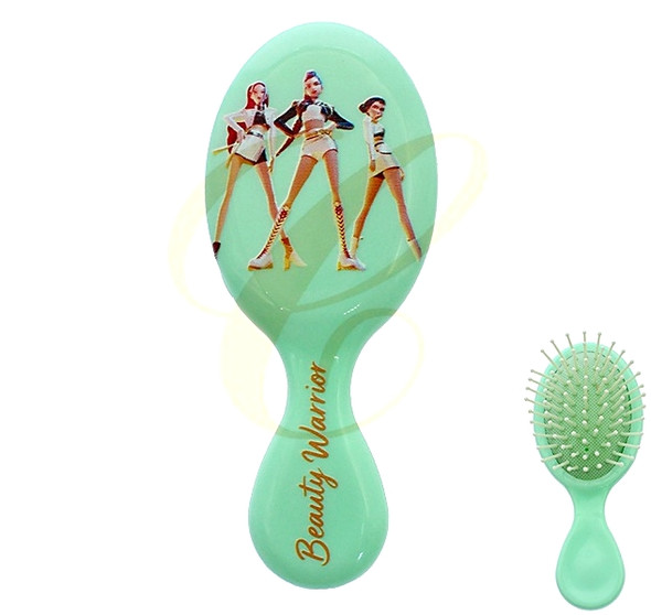 5.3" Novelty Print Gift Hair Brushes 12 per pk (1478R) .68 each