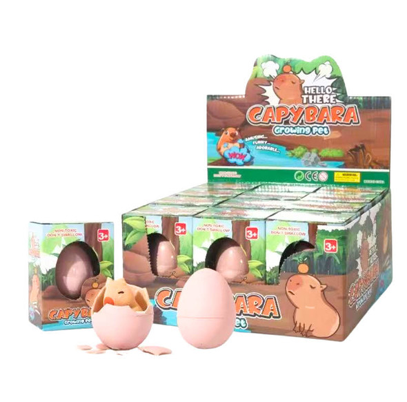 Hatch"em Capybara Eggs 12 per counter display box .75 each