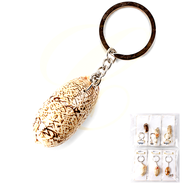Natural Cowrie Shell Keychain .70 each
