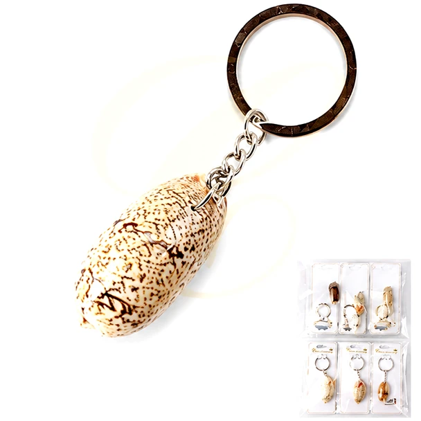 Natural Cowrie Shell Keychain .70 each