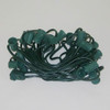 25' C9 String Light Cord, Green