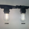 LED S14 Vintage Bulb (2700K vs 3000K)