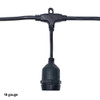 18AWG Black commercial grade string light cord