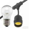 LED A15 Professional Bulb & black 14 gauge, suspended socket string light cord