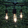 48' Black LED Commercial String Light, Suspended Socket & LED Vintage T9 Bulbs