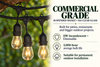 Commercial Grade, Suspended Socket String Light & S14 Clear Bulbs (medium/E26 base)