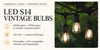 Commercial Grade, Suspended Socket String Lights & LED S14 Vintage Bulbs (medium/E26 base)