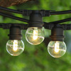 Outdoor String Lights with LED G50 Professional Bulbs (warm white)