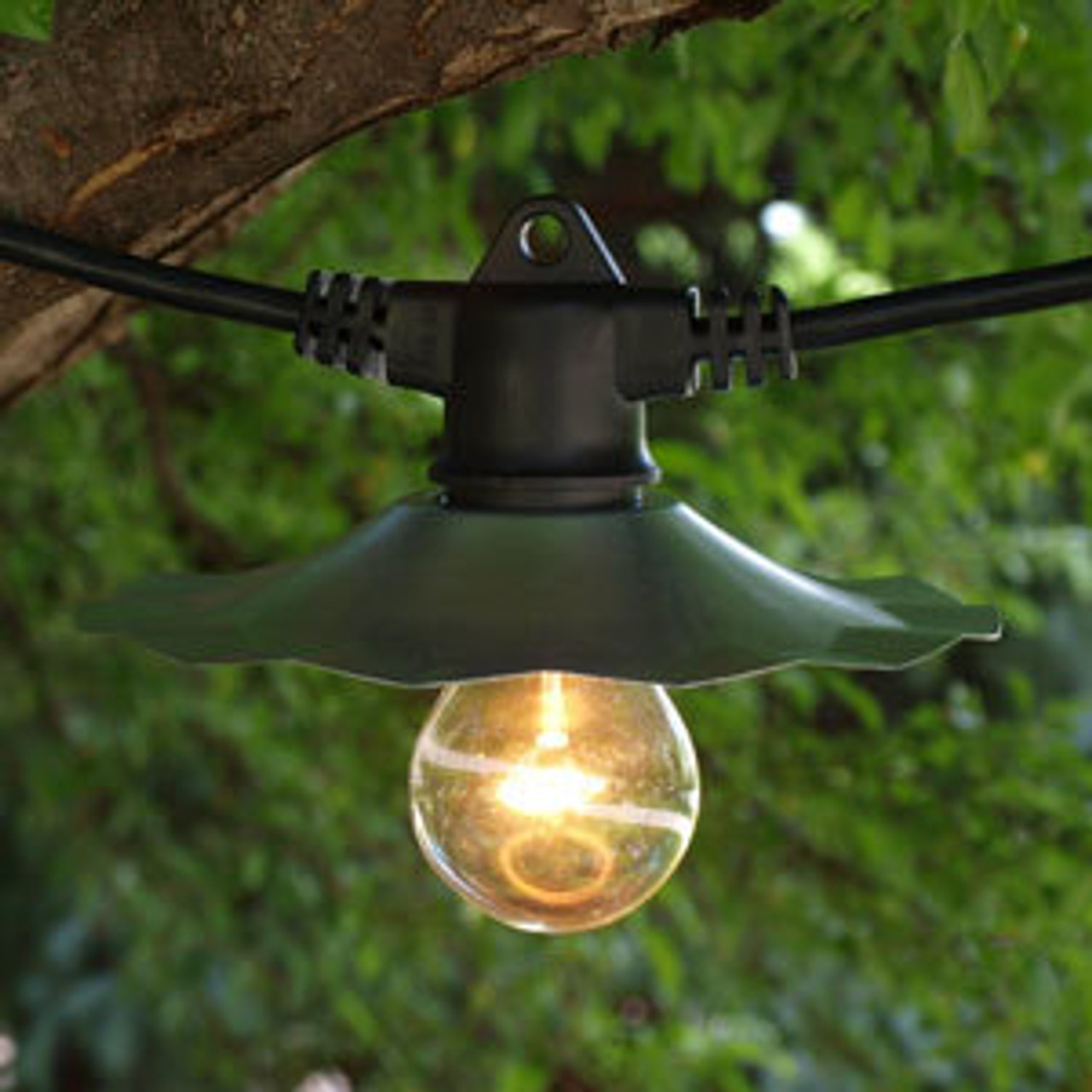 Cafe String Lights Cafe String Lights