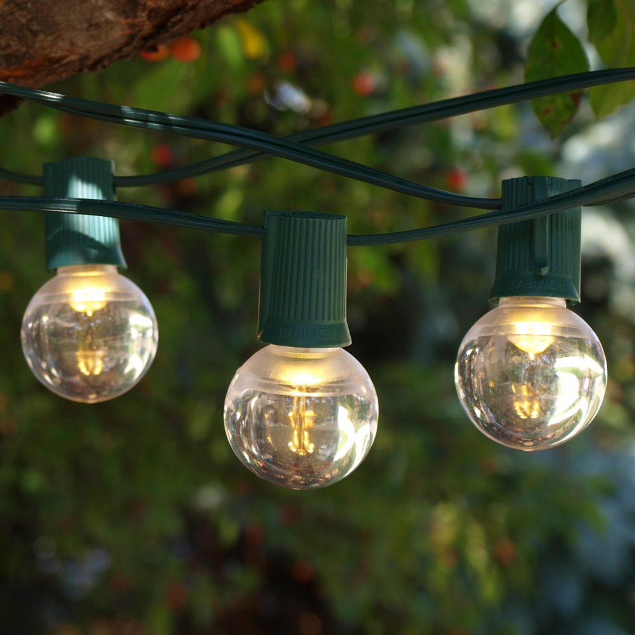 philips 25ct led globe string lights