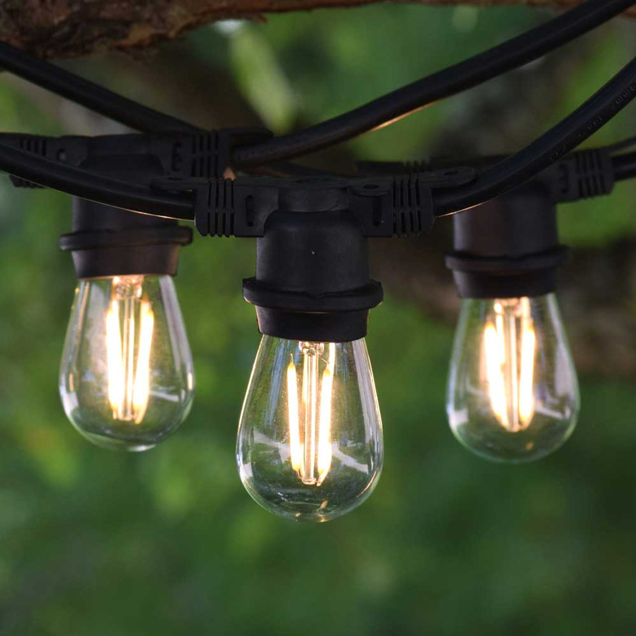 Commercial bistro lights