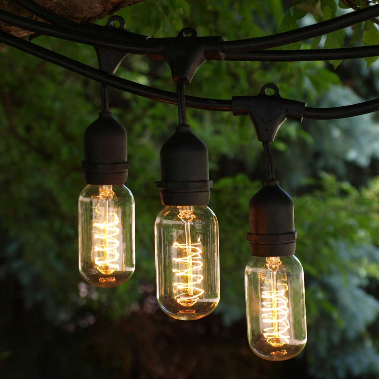 Absorbere ebbe tidevand kronblad Vintage Outdoor String Lights, 48' Black, T14 Edison Spiral Bulbs,  Suspended Socket