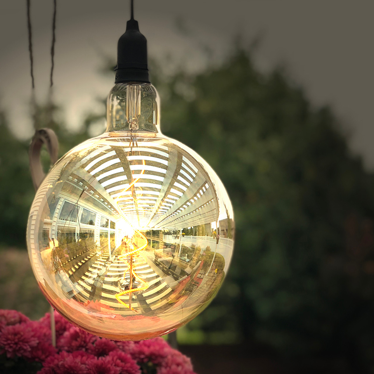 battery powered hanging edison light