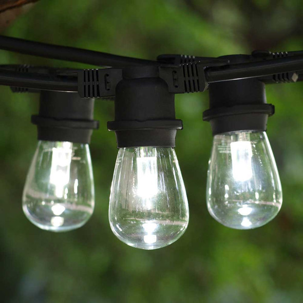 Black Outdoor String Light & Professional LED S14 Bulbs (cool white)