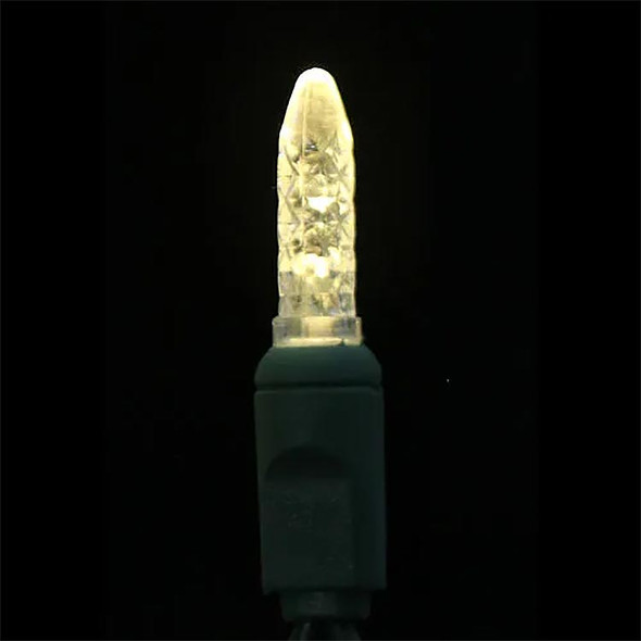 M6 LED Mini Lights, Warm White