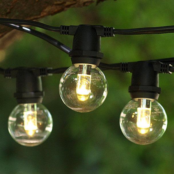 Black C9 Commercial String Light with LED G40 Professional Bulbs