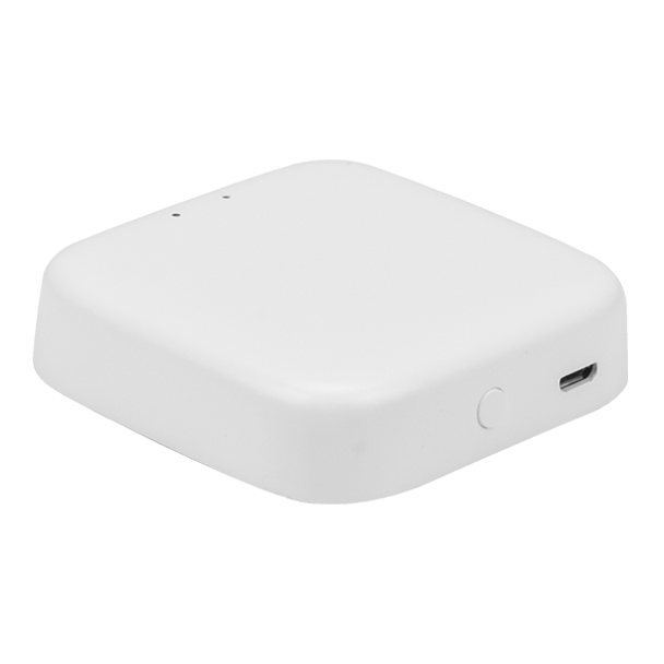 Spektrum+ Smart WiFi Gateway (back)