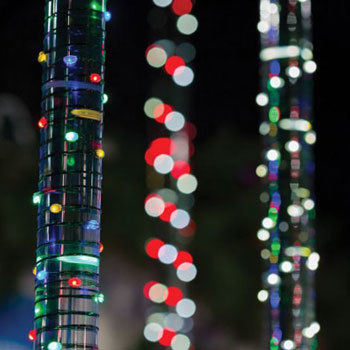 Fairy Lights Fairy Lights