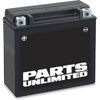 Parts Unlimited Battery YTX14AHL-BS AGM Maintenance Free