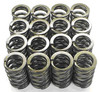Carpenter Racing Carpenter Valve Springs Kawasaki ZX10R (04-15), close-up image of a set of metallic valve springs arranged in rows. Carpenter Racing Carpenter Valve Springs Kawasaki ZX10R (04-15), close-up image of a set of metallic valve springs arranged in rows.