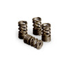 Vance & Hines Valve Springs Suzuki Hayabusa (99-26), set of motorcycle valve springs for engine performance. Vance & Hines Valve Springs Suzuki Hayabusa (99-26), set of motorcycle valve springs for engine performance.