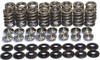 APE Valve Spring and Retainer Kit Kawasaki ZX14R (06-25), set of valve springs, retainers, and rubber seals arranged in rows. APE Valve Spring and Retainer Kit Kawasaki ZX14R (06-25), set of valve springs, retainers, and rubber seals arranged in rows.