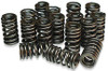 APE Valve Spring Kit Suzuki GS1100-GS1150, set of black coil valve springs arranged together.