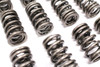 HTP Performance HTP Valve Spring Kit Suzuki GSXR1000 (17-25), set of metallic valve springs arranged in rows.