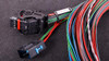 MaxxECU Sport Flying Lead Wiring Harness, high-quality automotive wiring harness with multiple colorful wires and connectors for engine management systems.