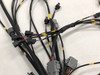 Custom Wiring Harness - Fueltech - Schnitz Racing