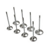 Vance & Hines Stainless Exhaust Valves for BMW S1000RR (10-19), set of eight engine valves in metallic finish with valve stems and heads