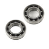 World Wide Bearings Ceramic Camshaft Bearings Set Suzuki GSX1300R Haybusa (99-25), two cylindrical metal bearings with ball bearings inside for motorcycle engine performance.