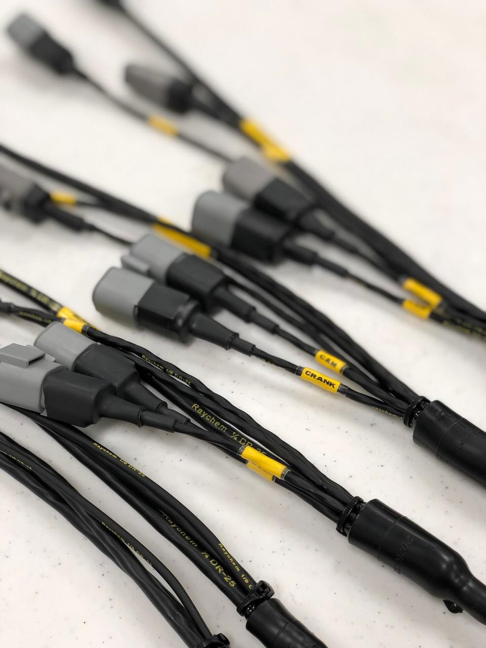 Ryan Schnitz Racing Custom Wiring Harness Deposit, high-quality automotive wiring harness with labeled connectors for fueltech systems. Ryan Schnitz Racing Custom Wiring Harness Deposit, high-quality automotive wiring harness with labeled connectors for fueltech systems.