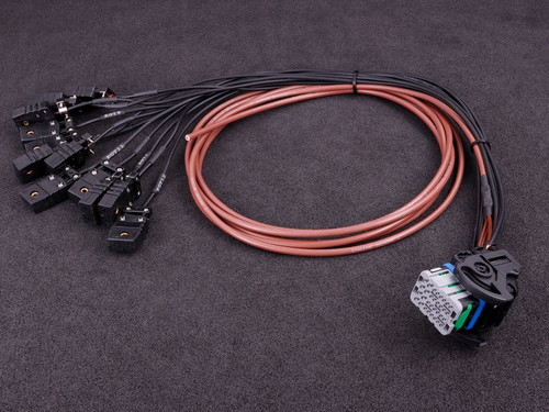 MaxxECU Pro Flying Lead Wiring Harness Connector 2