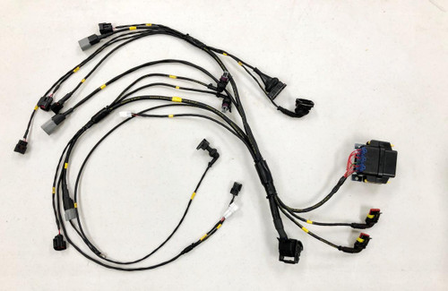 Ryan Schnitz Racing Custom Wiring Harness Deposit- MaxxECU, automotive wiring harness with multiple connectors and wires for racing applications. Loading Image