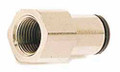 Schnitz Air Fitting Straight 1/8" NPT Female x 1/4" Line