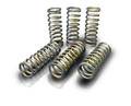 Schnitz Clutch Spring Kit Kawasaki ZX12 (00-05)