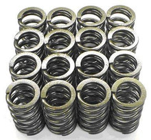 Kawasaki ZX14R Carpenter Valve Springs - Schnitz Racing