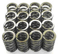 Carpenter Valve Springs Kawasaki ZX14R (06-24) - Schnitz Racing